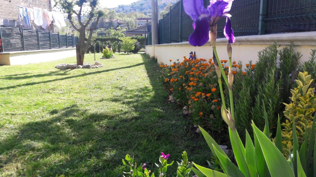 הוילה Veroli La Casina Gialla מראה חיצוני תמונה