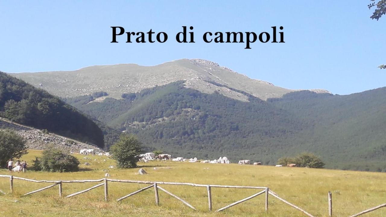 הוילה Veroli La Casina Gialla מראה חיצוני תמונה